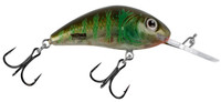 Clear Green Gill