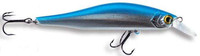 Blue Shiner