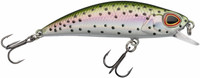 Rainbow Trout