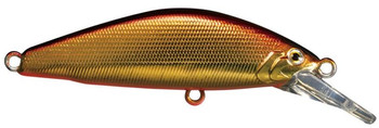 Wobler Smith D-Concept