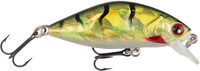 Green Perch