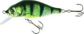 Wobler Jaxon Holo Select Valader