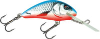 Dace Blue