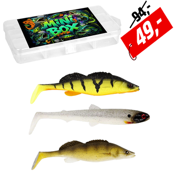 Mini BOX Catfish 2