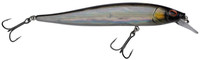 Baitfish