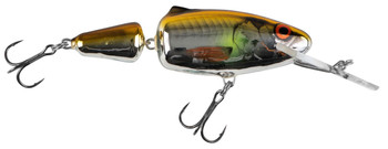 Wobler Salmo Frisky DPR