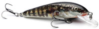 Holo Stickleback