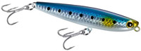 N Sardine