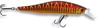Red Mackerel