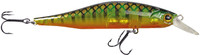 Trout Transparent Perch