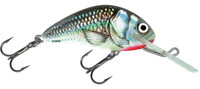 Holographic Grey Shiner