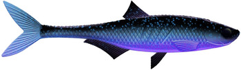 Przynęta gumowa Libra Dead Fish