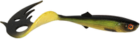 Tench
