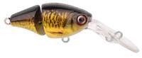CARP