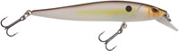 Sexy Shad