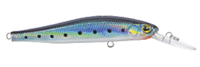 Spotted Blue