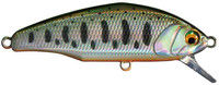 13 Chart Back Yamame Trout