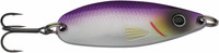 Baitfish
