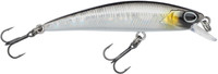 Baitfish