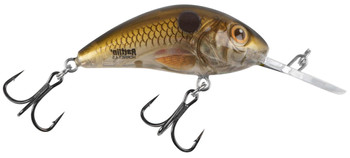 Wobler Salmo Rattlin Hornet F