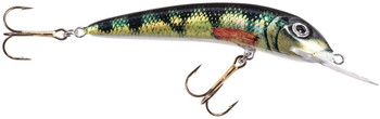 Wobler Jaxon Holo Select Ferox