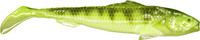 Yellow Perch