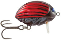 Bloody Bug