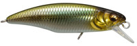 Wagin Moroko