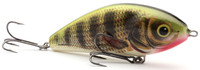 Holo Perch
