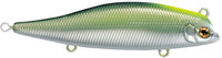 03 BM Small Squid