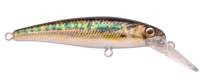 Gudgeon
