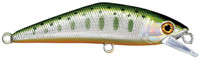 51 Green Yamame