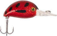Ladybird