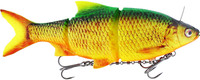 Firetiger Rudd