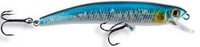Blue Shiner