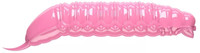 Bubble Gum