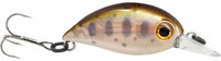 851