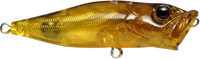 Cicada II