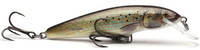 Grayling