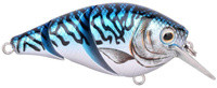 Mackerel