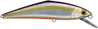 34 Purple Orange
