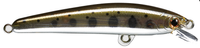 37 GM Yamame