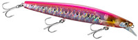 R Sardine