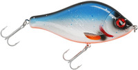Blue Roach