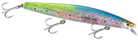 C Sardine