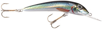 Wobler Jaxon Holo Select Ferox