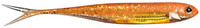 Glow Orange Gold