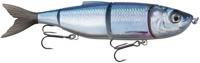 Herring