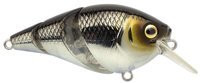 Pompano