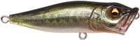 FA Bass